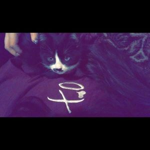 Meet your Posher, Madoline